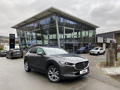 Gebraucht Mazda CX-30 Selection 150 PS (110 kW) 2023 Grau SUV