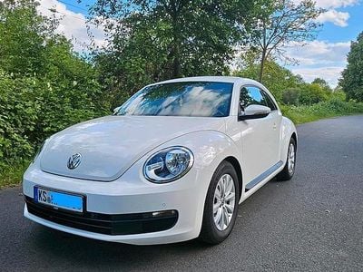 VW Beetle
