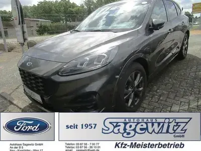Gebraucht Ford Kuga ST-Line X 151 PS (111 kW) 2023 Grau SUV