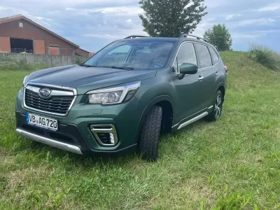 Gebraucht Subaru Forester