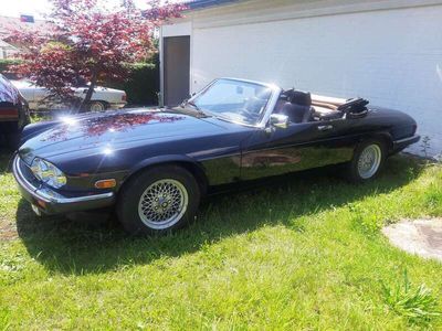 gebraucht Jaguar XJS 5.3L