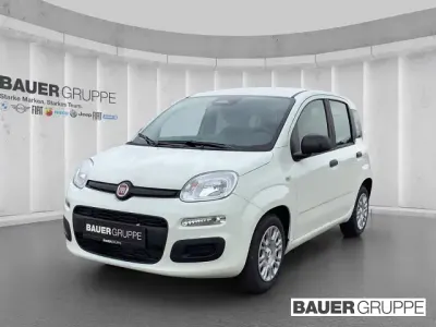 Neu Fiat Panda Icon 65 PS (47 kW) 2026 Weiss Kleinwagen
