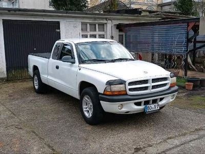 gebraucht Dodge Dakota Pick up