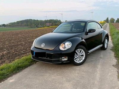VW Beetle