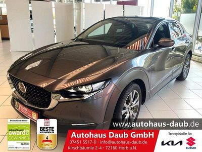 Gebraucht Mazda CX-30 Selection 179 PS (131 kW) 2020 Grau SUV
