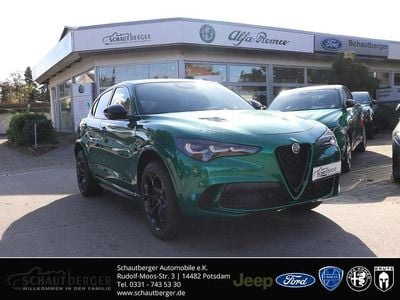 Neu Alfa Romeo Stelvio Quadrifoglio 519 PS (381 kW) 2025 Grün SUV