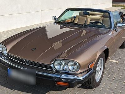 Gebraucht Jaguar XJS 273 PS (200 kW) 1989 Braun Cabrio