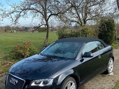Gebraucht Audi A3 Cabriolet 140 PS (102 kW) 2008 Schwarz Cabrio