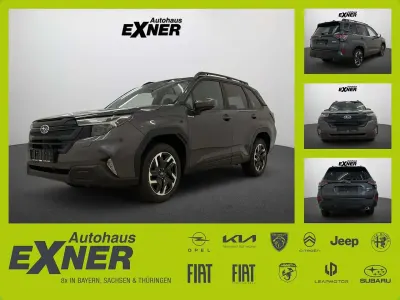 Neu Subaru Forester Active 136 PS (100 kW) 2026 Grau SUV