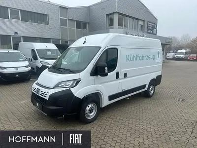 Neu Fiat Ducato 140 PS (102 kW) 2025 Weiss ducato weiss Van