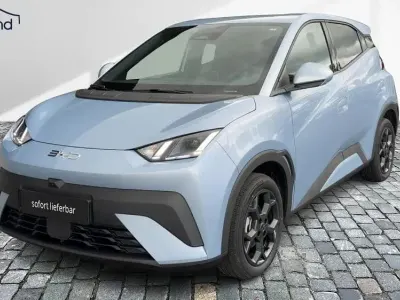 Gebraucht BYD Dolphin Surf