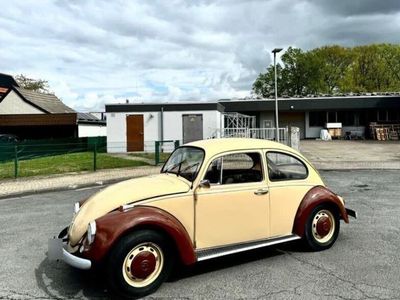 gebraucht VW Käfer 1200/ tüv/ h Kennzeichen / komplett restauriert