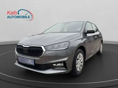 Gebraucht Skoda Fabia Selection 80 PS (58 kW) 2024 Grau Limousine