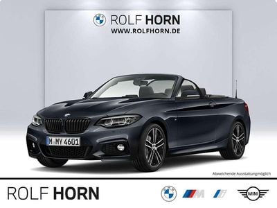 Mineralgrau metallic Gebraucht 2020 BMW 230 M Sport Cabrio | 29.920 € (Teuer)