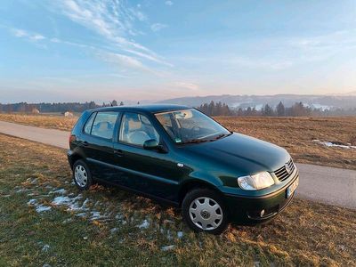 Grün Gebraucht 2001 VW Polo Basis Kleinwagen | 950 € (Guter Preis)