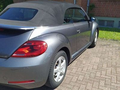 VW Beetle
