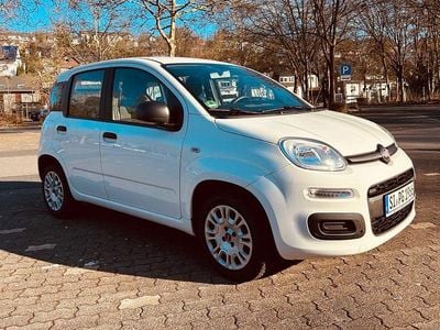 Gebraucht Fiat Panda Easy 69 PS (50 kW) 2019 Weiß Kleinwagen