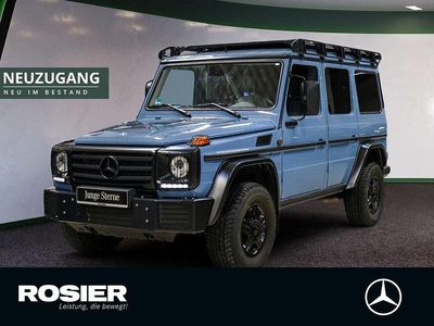 Blau / chinablau Gebraucht 2018 Mercedes G350 Edition SUV | 159.890 €