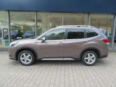 Gebraucht Subaru Forester