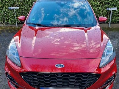 Gebraucht Ford Kuga ST-Line X 224 PS (164 kW) 2021 Rot SUV