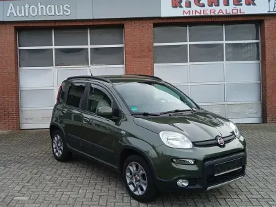 Gebraucht Fiat Panda 4x4 Rock 86 PS (63 kW) 2014 Colore esterno (toscana grün) Kleinwagen