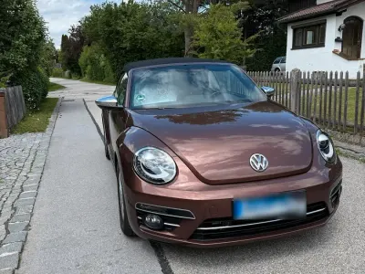 Gebraucht VW Beetle