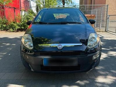 Usata Fiat Punto Evo 80 CV (58 kW) 2010 Blu Utilitaria