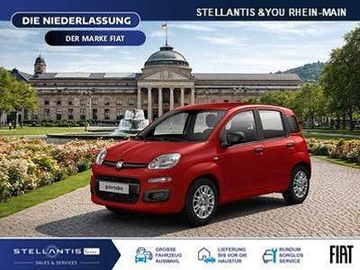 Neu Fiat Panda Icon 65 PS (47 kW) 2026 Rot Kleinwagen