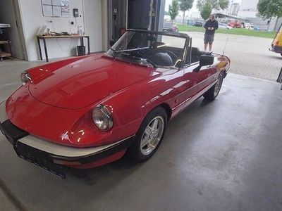 gebraucht Alfa Romeo Spider 115 top Zustand