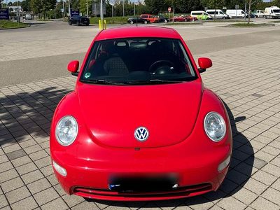 VW Beetle