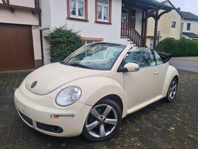 VW Beetle