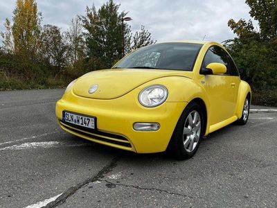 VW Beetle