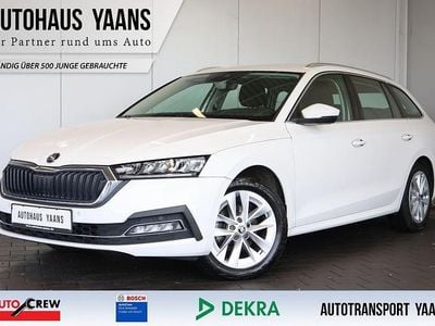 Occasion Skoda Octavia Style 150 ch (110 kW) 2022 Blanc Berline