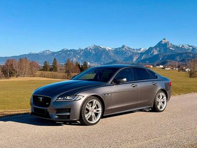 Gebraucht Jaguar XF R-Sport 300 PS (220 kW) 2019 Grau Limousine