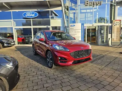 Gebraucht Ford Kuga ST-Line X 224 PS (164 kW) 2022 Ruby red (metallic) SUV