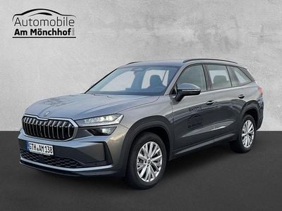 Grau Gebraucht 2025 Skoda Kodiaq SUV | 48.900 € (Etwas zu teuer)