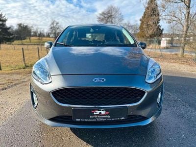 Usata Ford Fiesta 101 CV (74 kW) 2019 Magnetic Utilitaria
