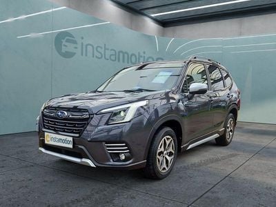 Grau Gebraucht 2024 Subaru Forester SUV | 37.249 € (Fairer Preis)