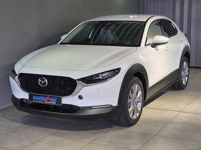 Neu Mazda CX-30 Exclusive 140 PS (102 kW) 2026 Snowflake white pearl SUV