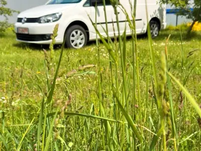 Occasion VW Caddy 109 ch (80 kW) 2011 Blanc Monospace