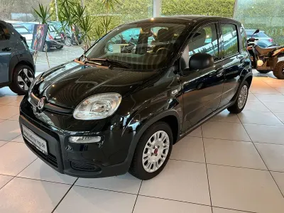 Gebraucht Fiat Panda 69 PS (50 kW) 2024 Schwarz Kleinwagen