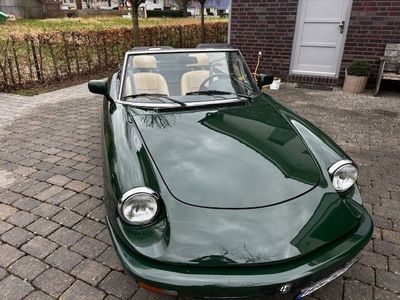 gebraucht Alfa Romeo Spider 