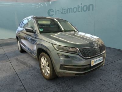 gebraucht Skoda Kodiaq Style 2.0 TDI 4x4 LED/Lenkradhzg./AHK/Nav