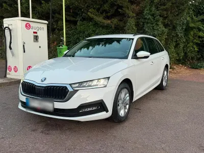 Gebraucht Skoda Octavia 116 PS (85 kW) 2022 Weiß Kombi