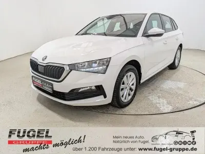 Gebraucht Skoda Scala Ambition 95 PS (69 kW) 2023 Candyweiss Kleinwagen