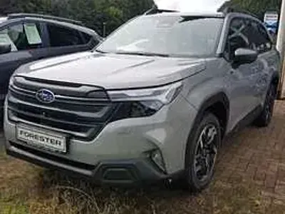 Gebraucht Subaru Forester