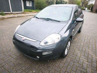 Usata Fiat Punto Evo 75 CV (55 kW) 2011 Grigio Utilitaria