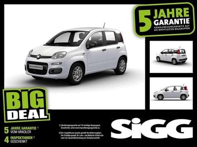 Neu Fiat Panda 69 PS (50 kW) 2025 Gelato Kleinwagen