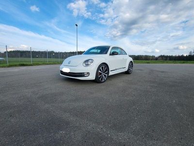 VW Beetle