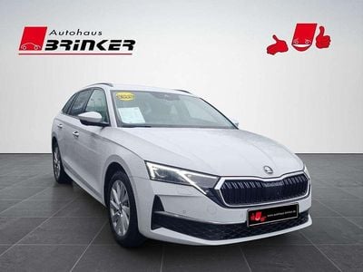 Moonweiss metallic Gebraucht 2025 Skoda Octavia Selection Kombi | 31.930 € (Fairer Preis)